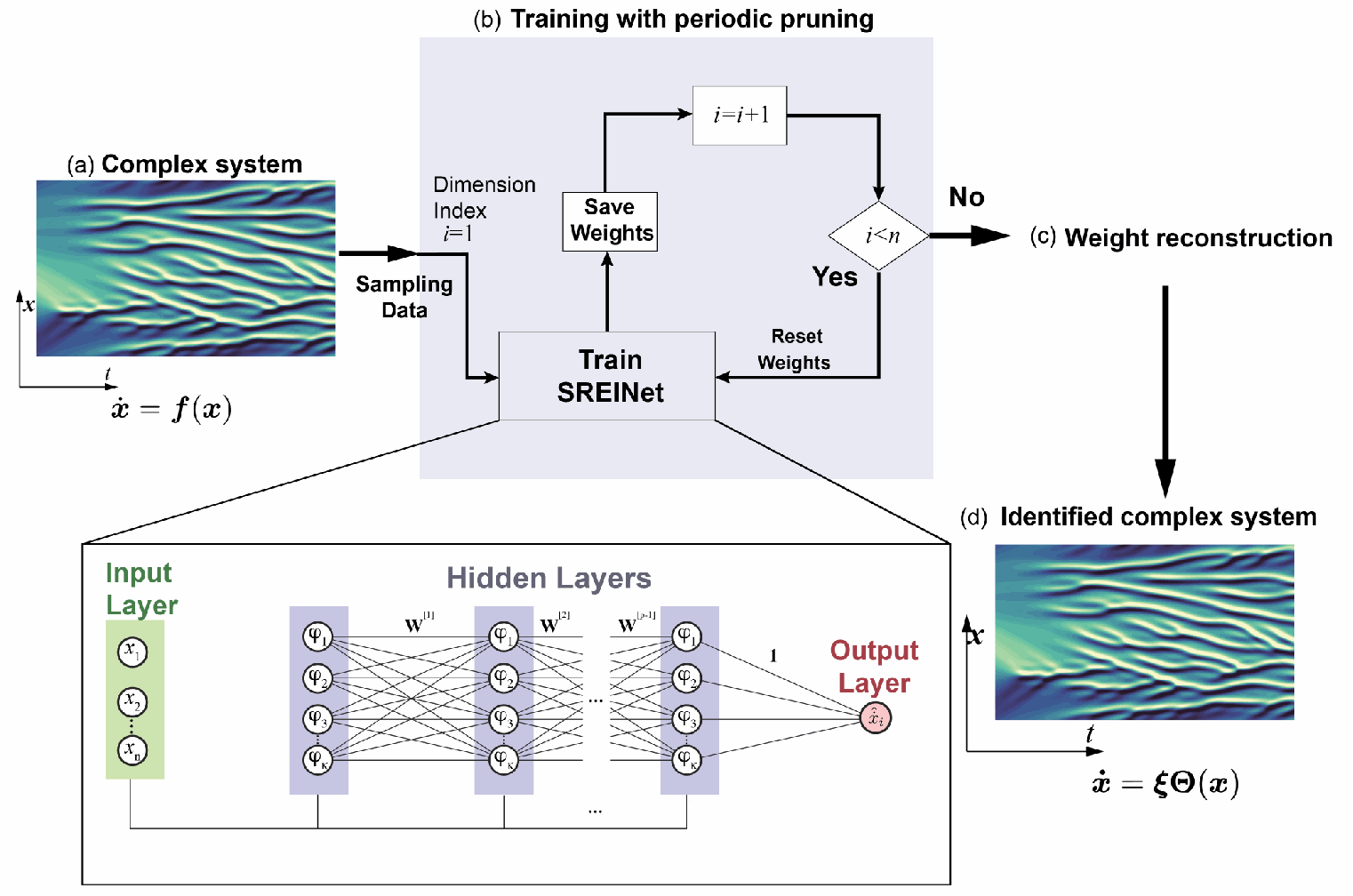 SREINet workflow: sample a dynamical system, train an interpretable network for each state derivative with periodic pruning, reconstruct coefficients, and simulate the identified equations.
